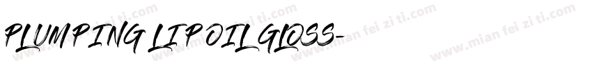 PLUMPING LIP OIL GLOSS字体转换